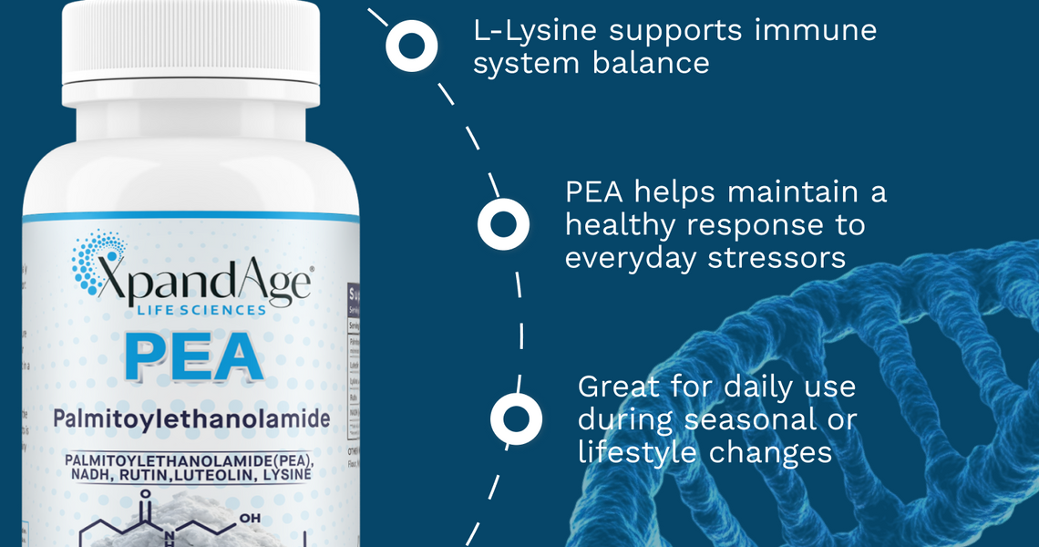 🧬 Palmitoylethanolamide (PEA): Your Daily Ally for Comfort, Clarity & Healthy Aging!