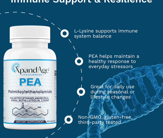 🧬 Palmitoylethanolamide (PEA): Your Daily Ally for Comfort, Clarity & Healthy Aging!