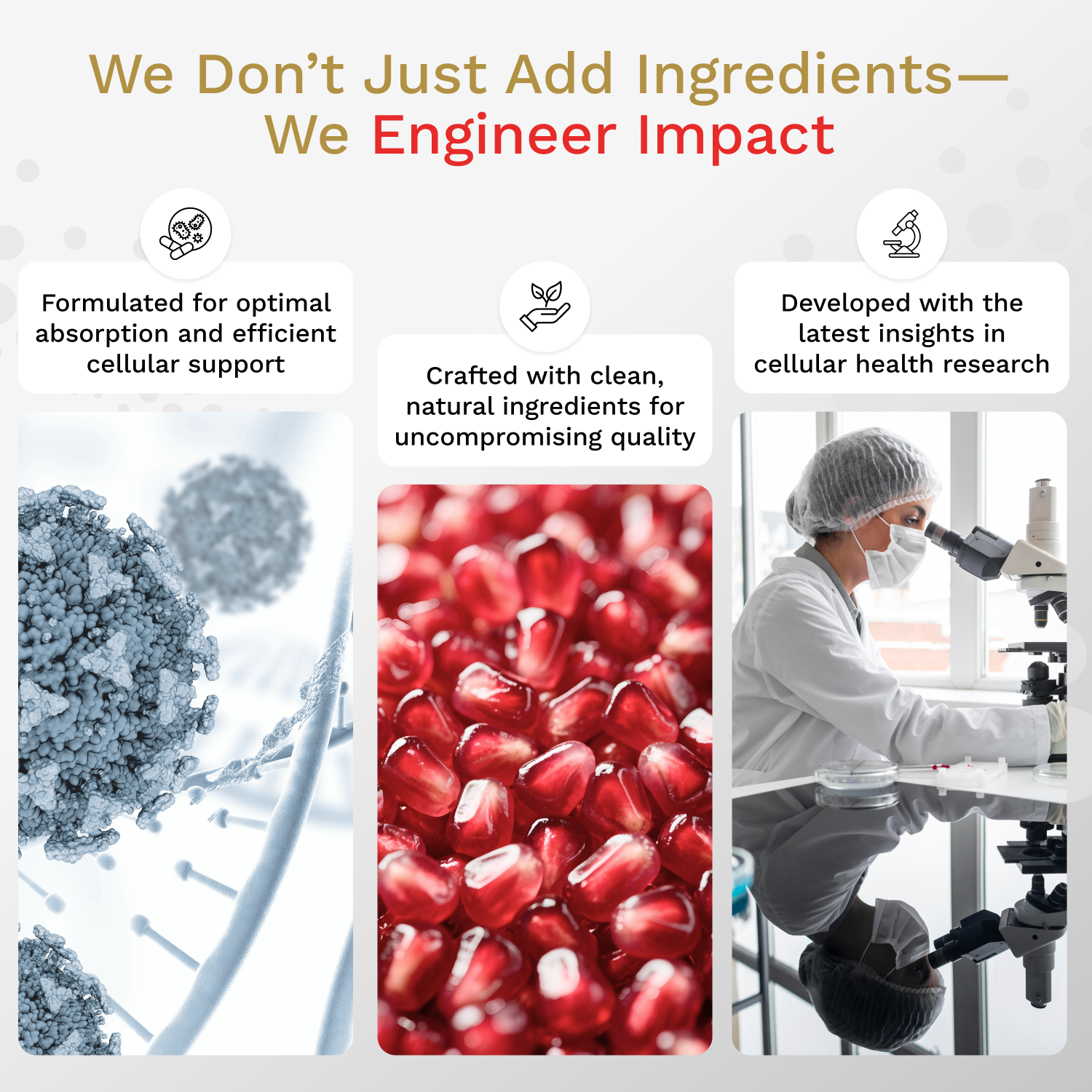 XpandAge Advanced Urolithin A Longevity Complex