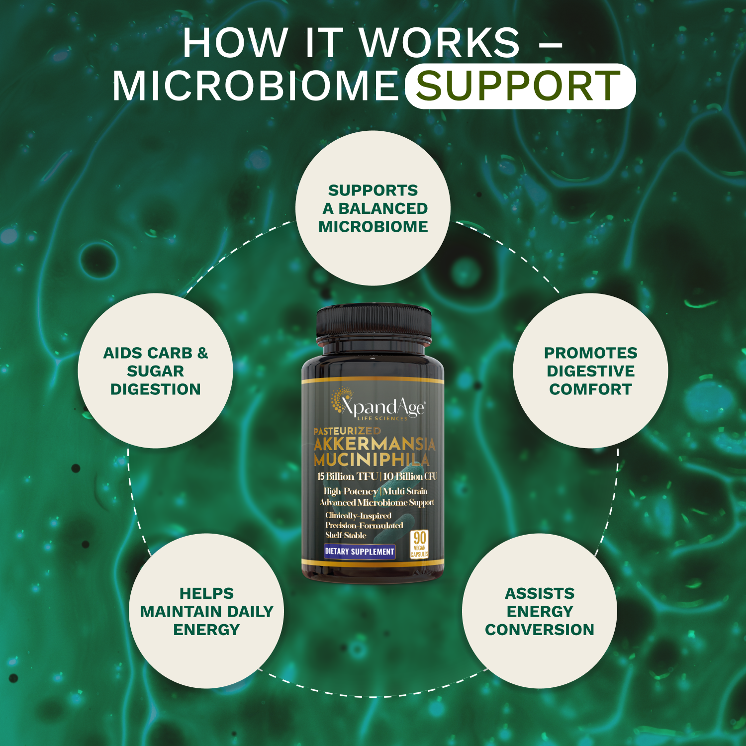 Akkermansia Muciniphila with Multi-Strain Probiotic 3-Month Supply