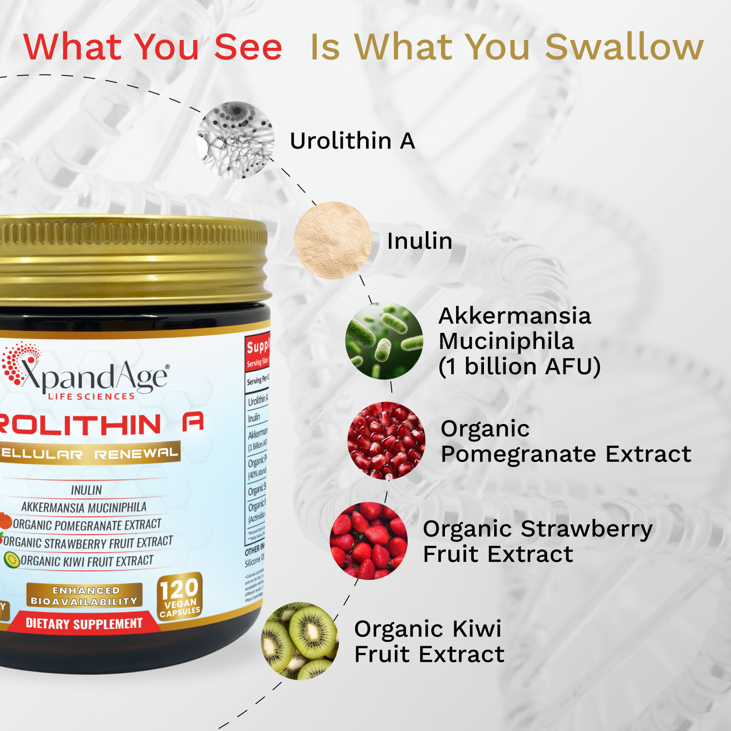 XpandAge Advanced Urolithin A Longevity Complex