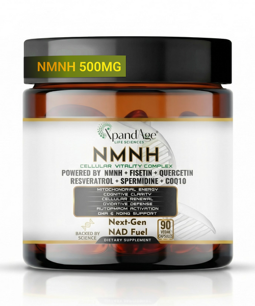 NMNH 500mg with Fisetin, Resveratrol, Quercetin, Spermidine, CoQ10 & Pomegranate Extract – 90 Vegan Capsules