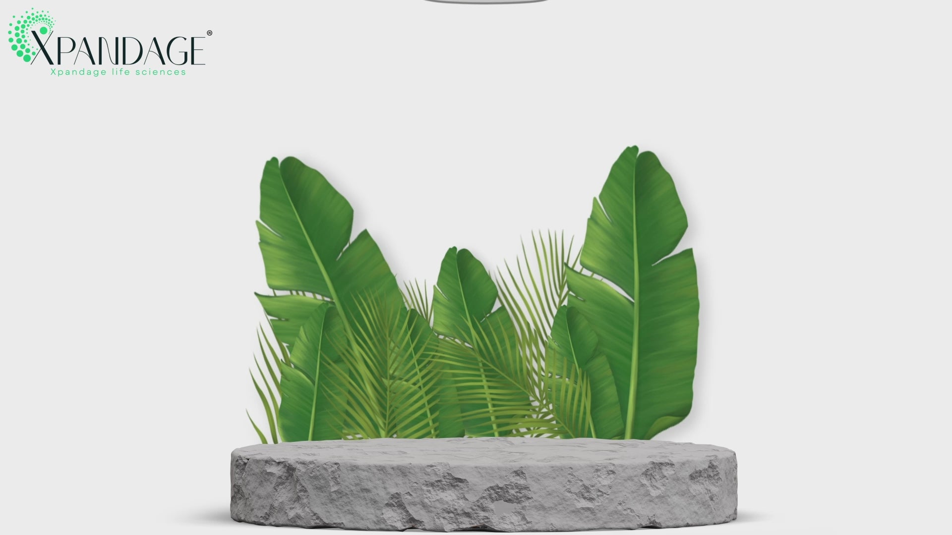 Bovine Collagen Peptide pills (90 ct)